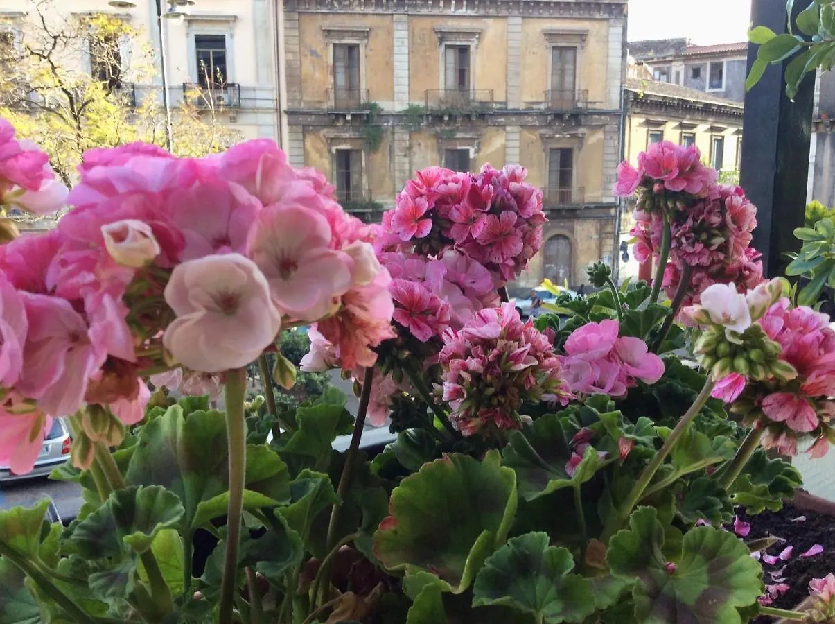 Cesare'S Home Catania Italien